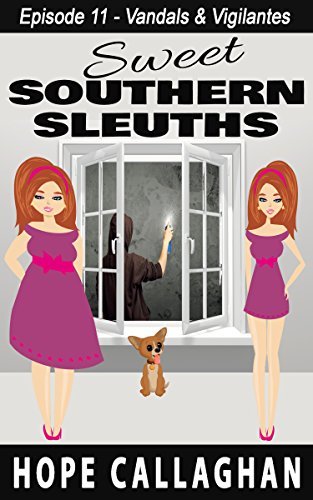 Vandals & Vigilantes book cover