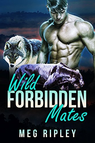 Rogue Wolf book cover