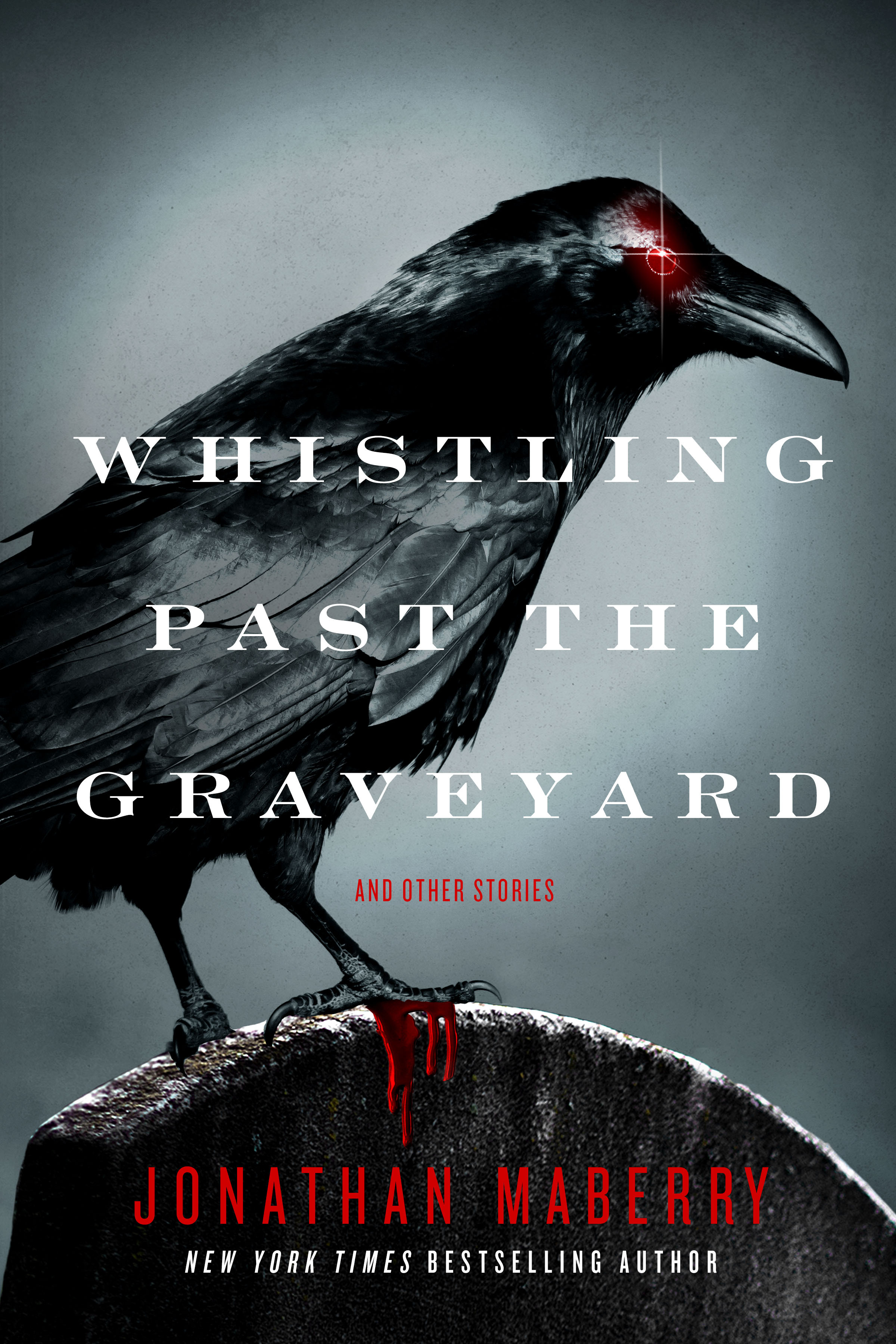 Whistling Past the Graveyard book cover