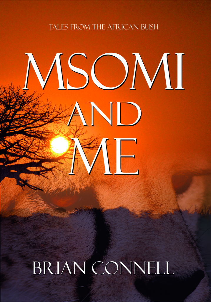 Msomi and Me