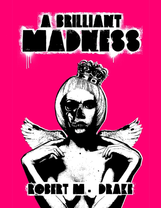 A Brilliant Madness