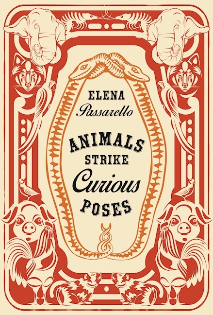 Animals Strike Curious Poses