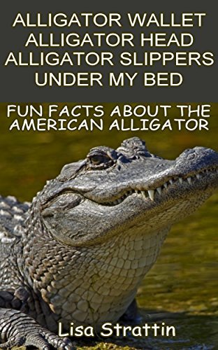 Alligator Wallet, Alligator Head, Alligator Slippers, Under My Bed: Fun Facts About American Alligators