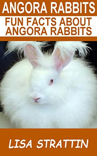 Angora Rabbits: Fun Facts About Angora Rabbits