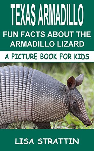 Texas Armadillo: Fun Facts About the Armadillo