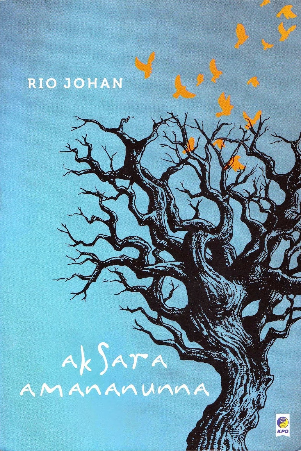 Aksara Amananunna book cover