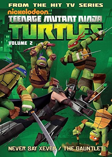 Teenage Mutant Ninja Turtles: Animated Vol. 2: New Friend, Old Enemy