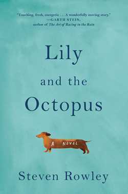 Lily and the Octopus