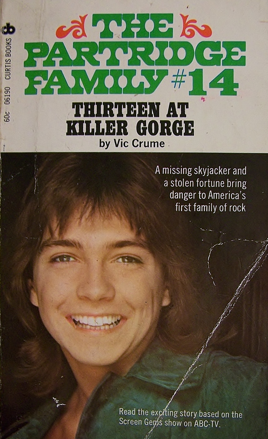 The Partridge Family book cover 2