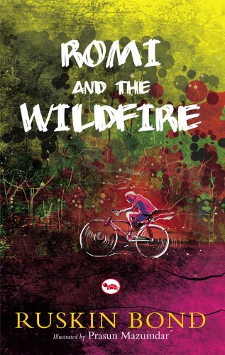 Romi and The Wildfire book cover