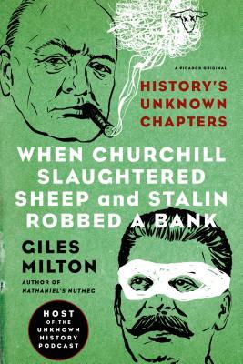 History's Unknown Chapters book cover 2