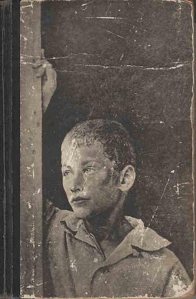 Над пропастью во ржи book cover