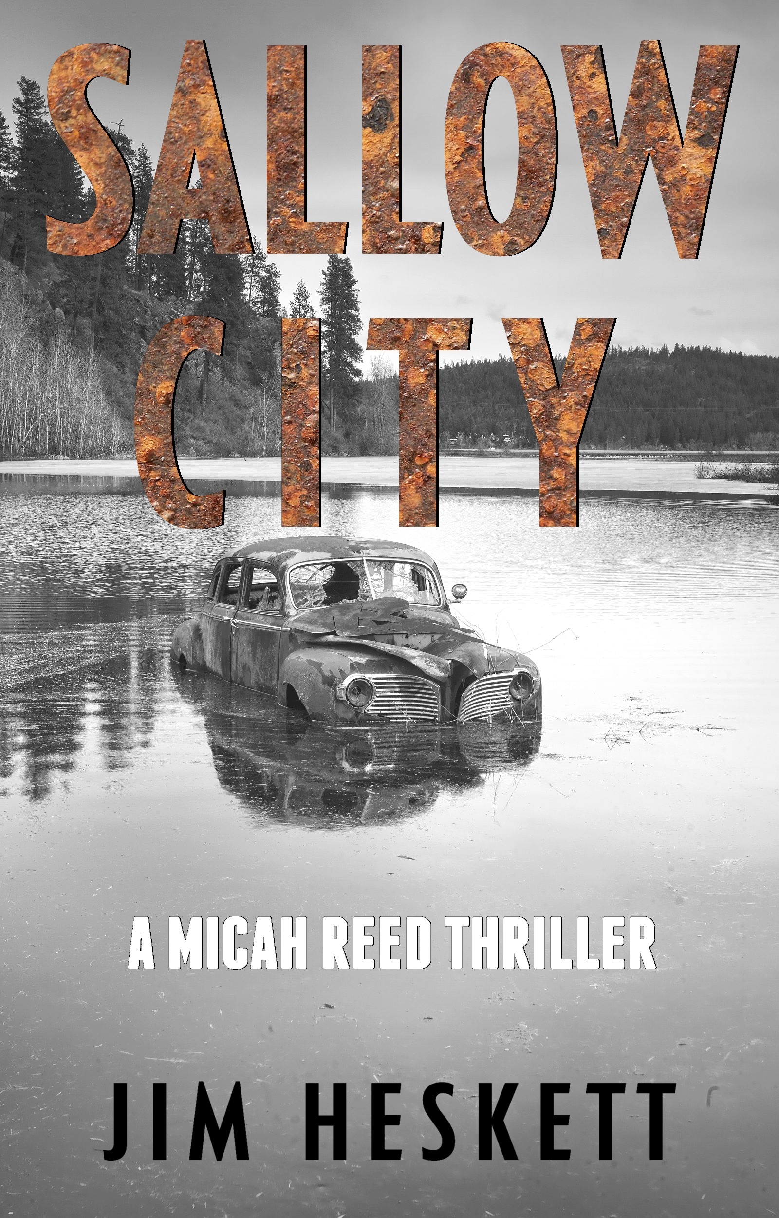 Sallow City book cover