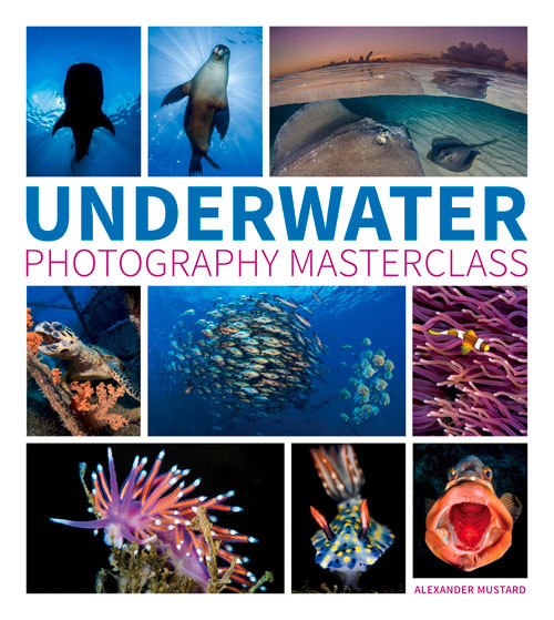 Underwater Photography Masterclass by Alex Mustard Goodreads