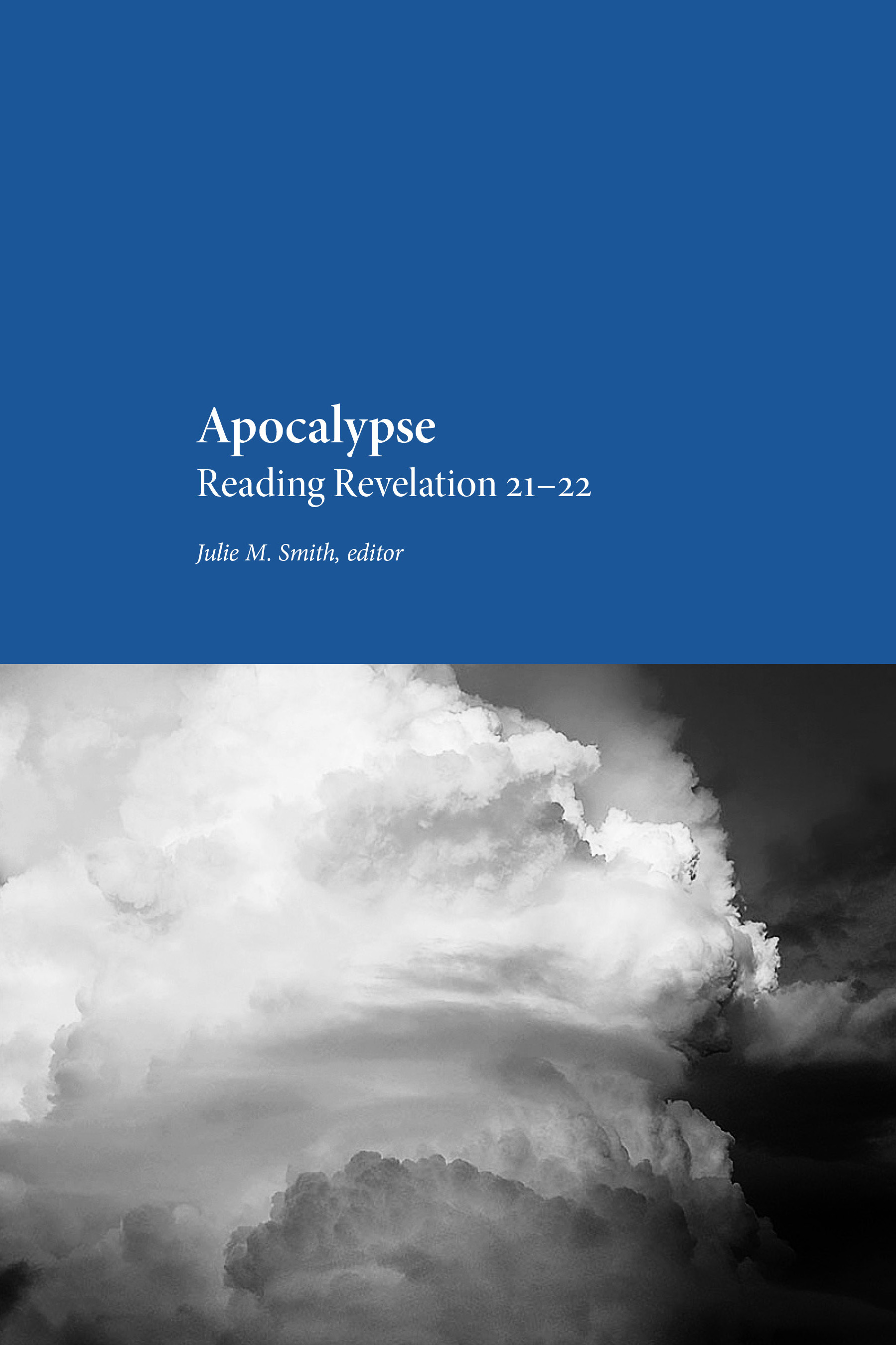 Proceedings of the Mormon Theology Seminar book cover 2