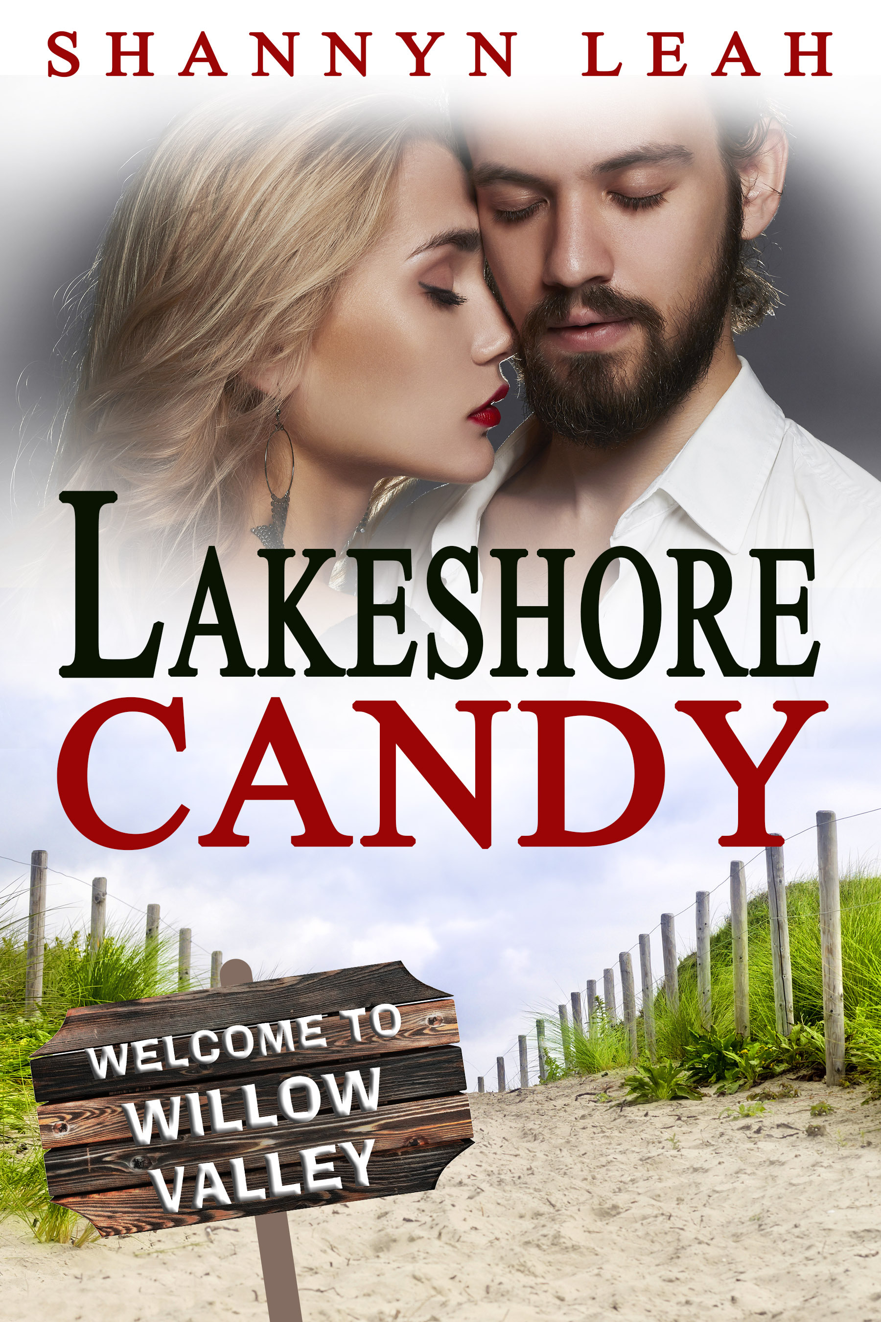 Lakeshore Candy book cover