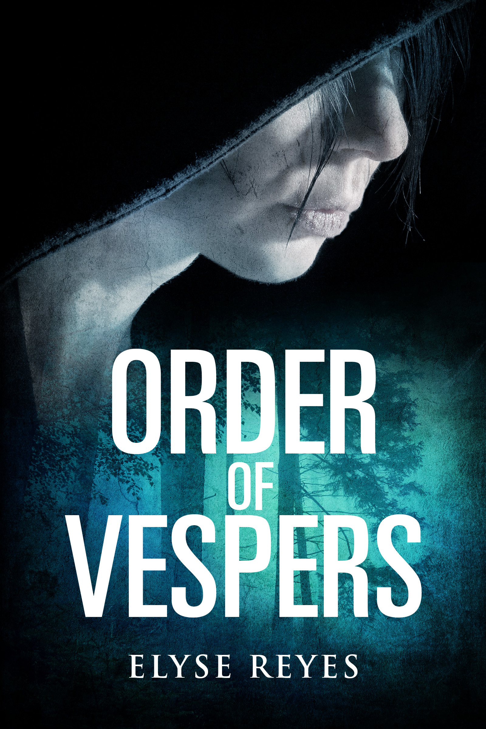 Vespers Chronicles book cover 1