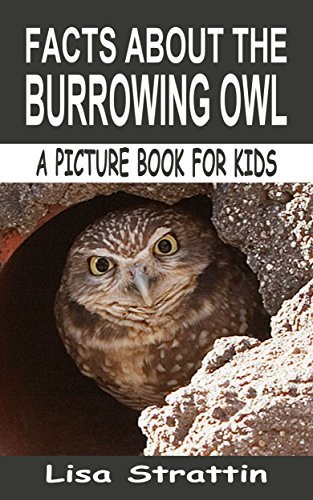 Facts About the Burrowing Owl