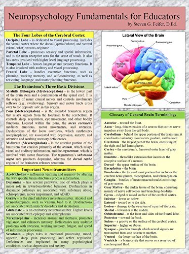 Steven Feifer Math Book Neuropsychology Fundamentals for Educators by Steven G. Feifer | Goodreads