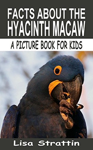 Facts About the Hyacinth Macaw