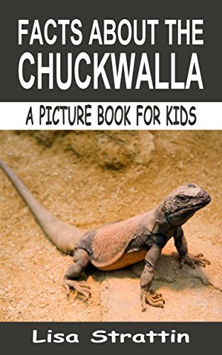 Facts About the Chuckwalla: Reptiles & Amphibians Pets