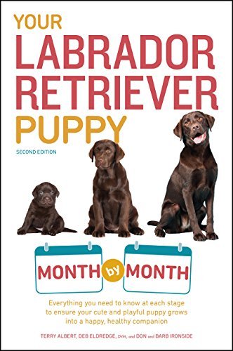 Your Labrador Retriever Puppy Month by Month: Everything You Need to Know at Each Stage to Ensure Your Cute and Playful Puppy Grows into a Happy, Healthy Companion