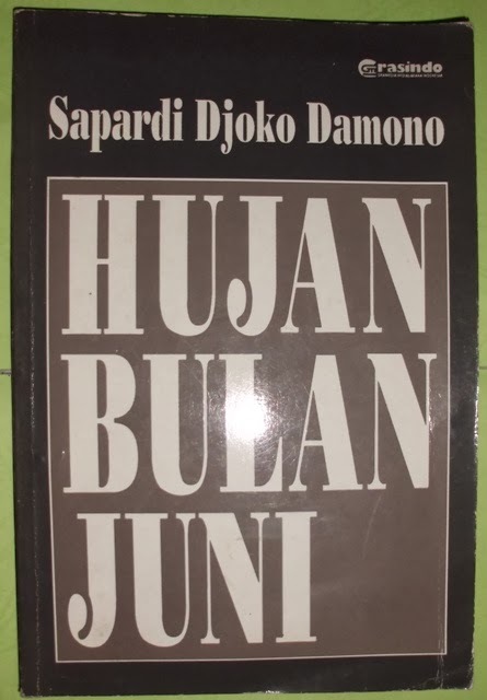 Hujan Bulan Juni book cover