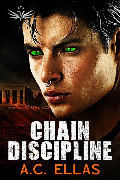 Rovani Chronicles book cover 2