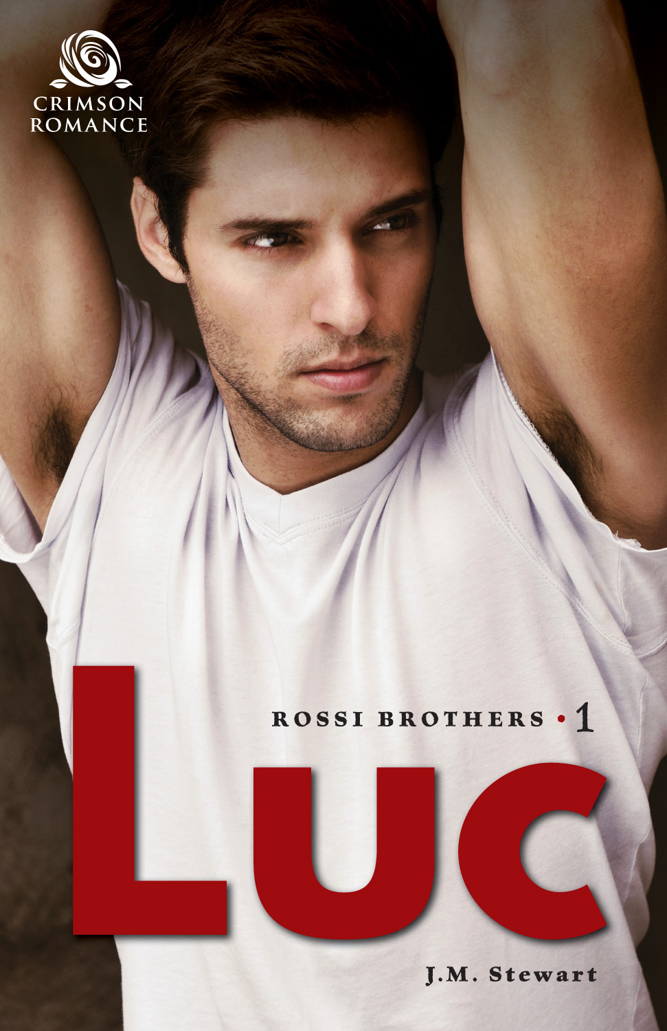 Rossi Brothers book cover 1