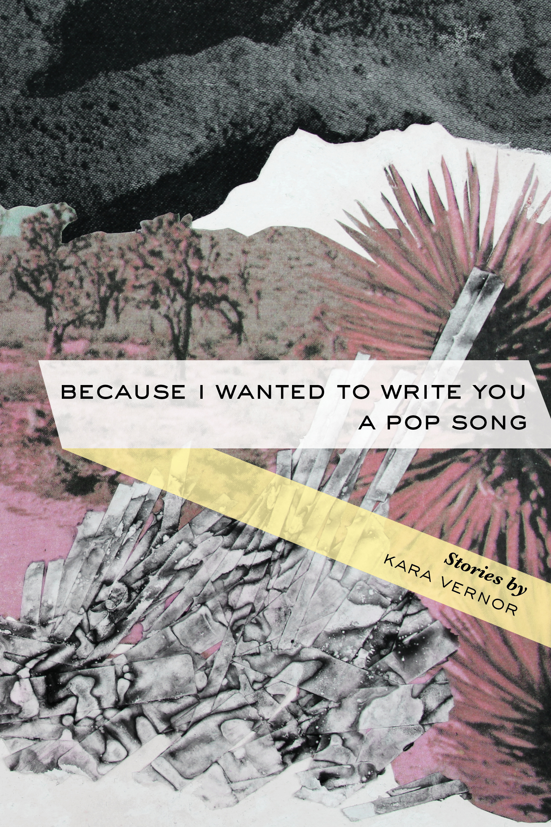 Because I Wanted to Write You a Pop Song