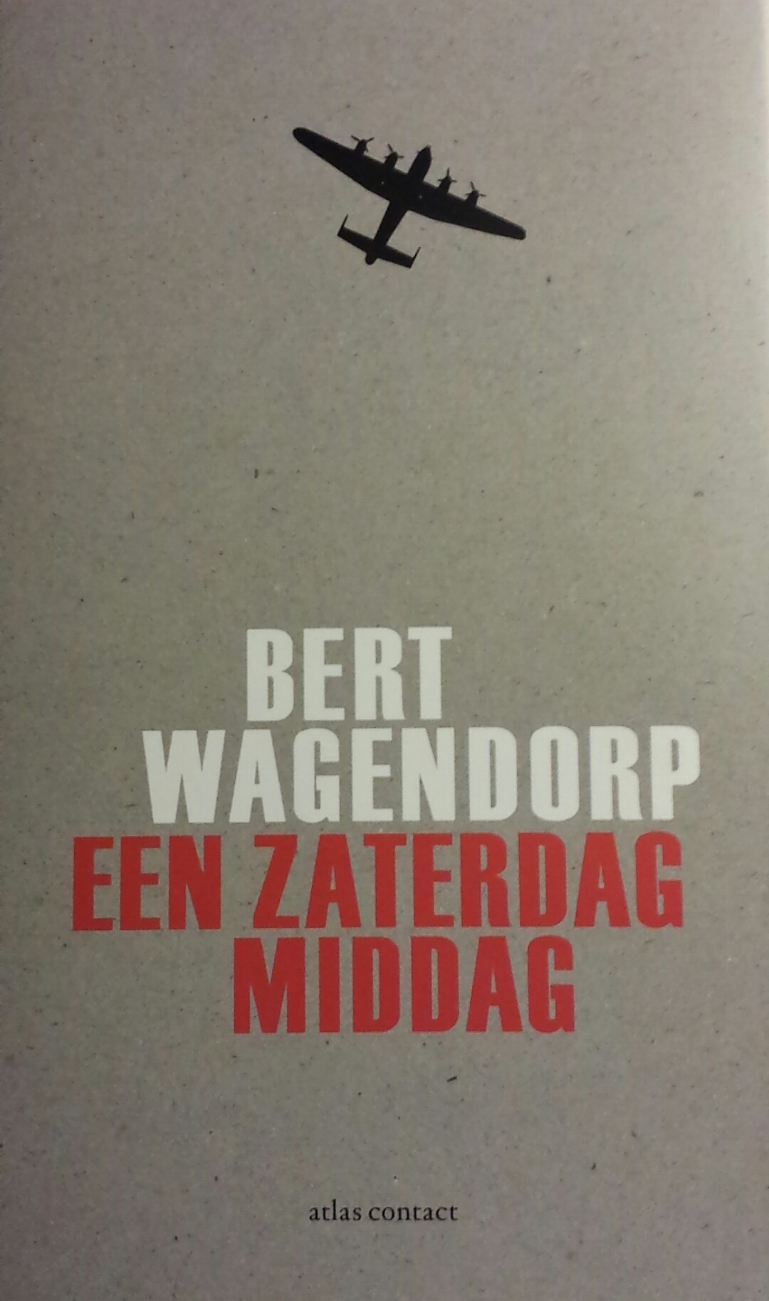Een zaterdagmiddag book cover