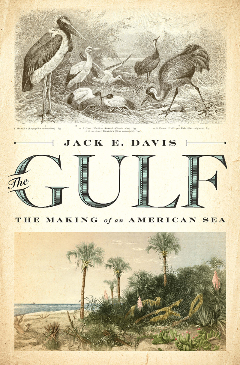 The Gulf The Making of an American Sea by Jack Emerson Davis Goodreads
