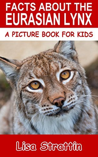 Facts About The Eurasian Lynx