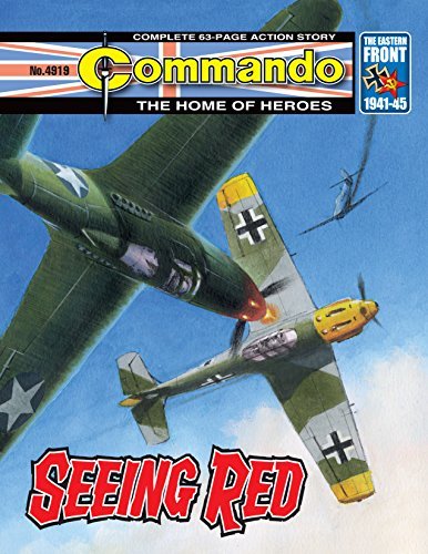 Commando #4919 book cover