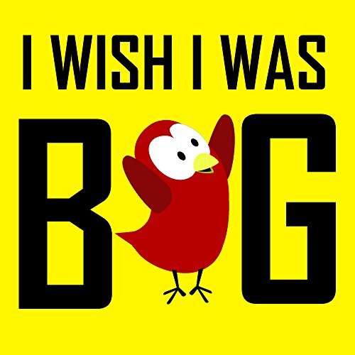 I Wish I Was Big