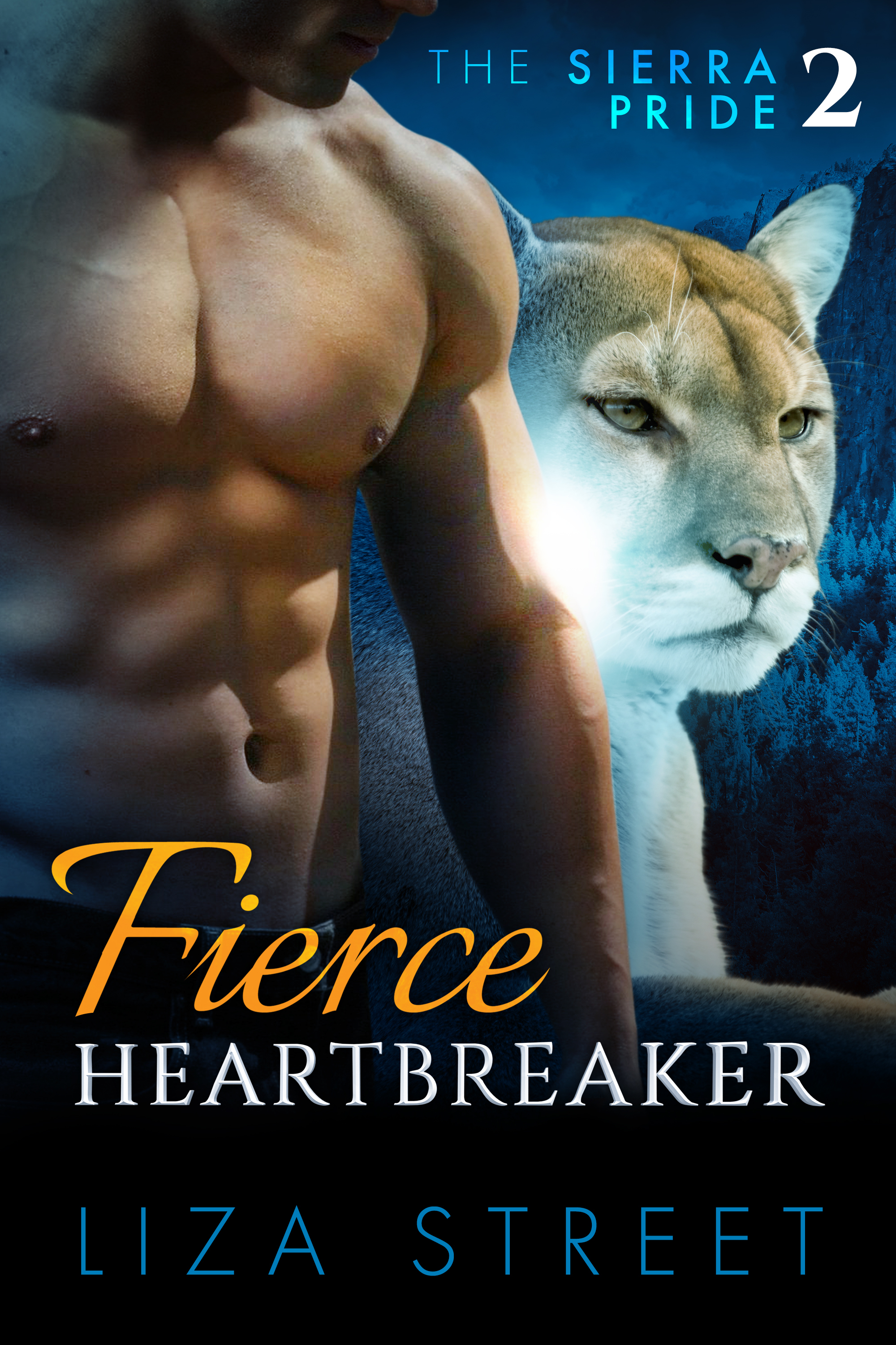 Fierce Heartbreaker book cover