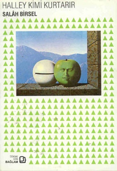 Halley Kimi Kurtarır book cover