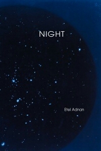 Night book cover
