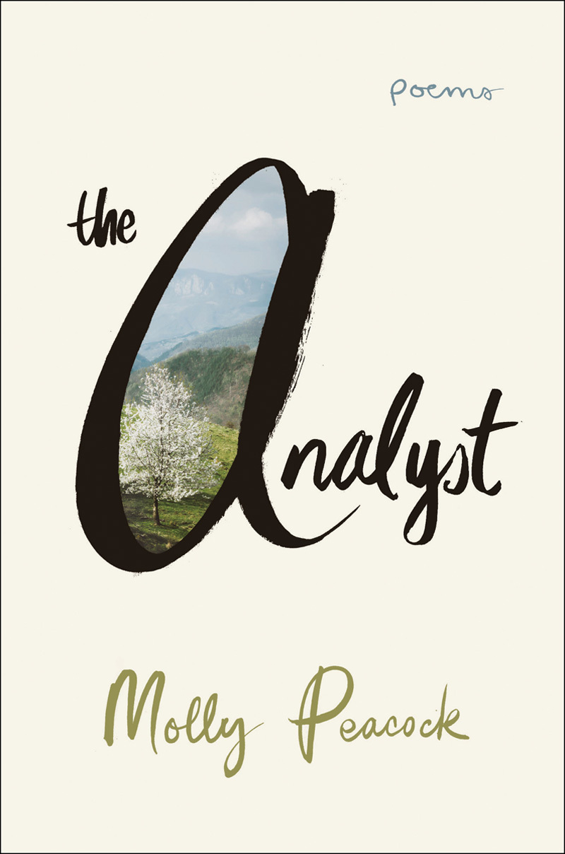 The Analyst book cover