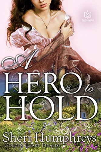A Hero to Hold book cover