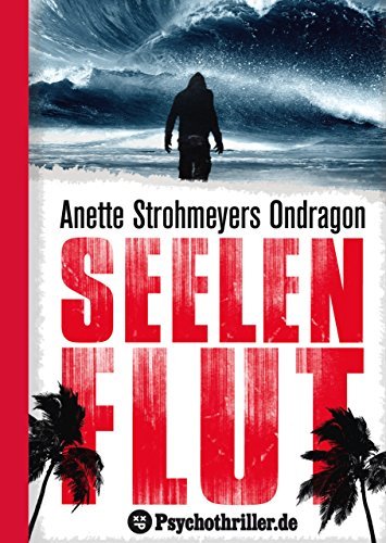 Seelenflut book cover