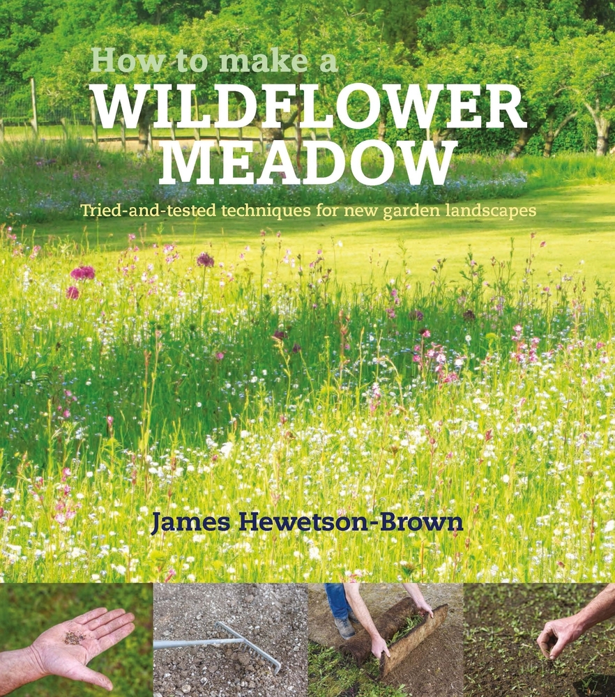 How to Make a Wildflower Meadow TriedandTested Techniques for New
