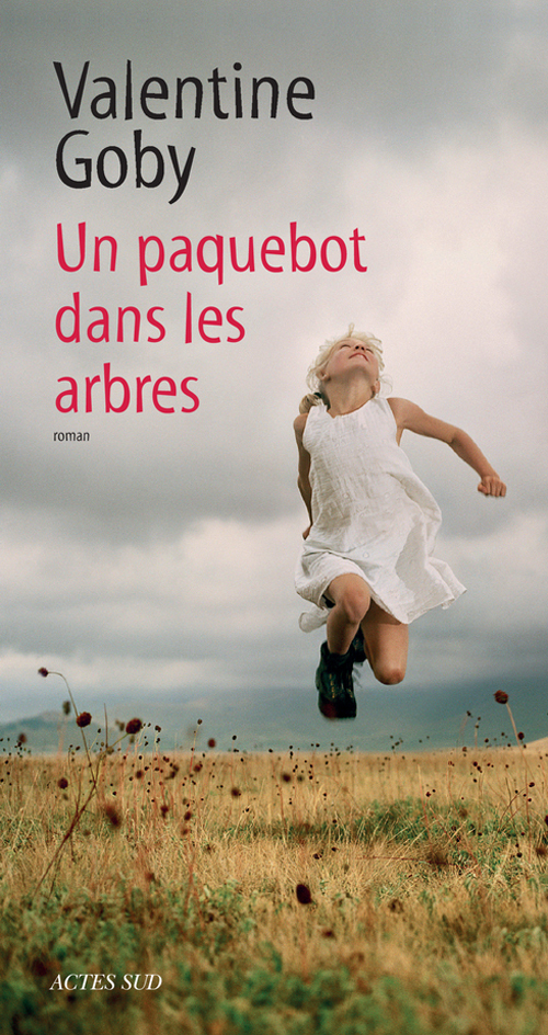 Un paquebot dans les arbres book cover