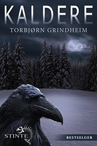 Kaldere (Stein Time Book 1)