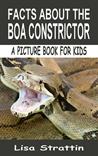 Facts About The Boa Constrictor