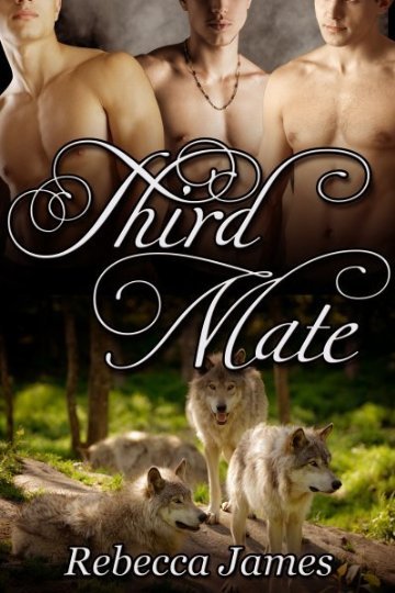 Third Mate