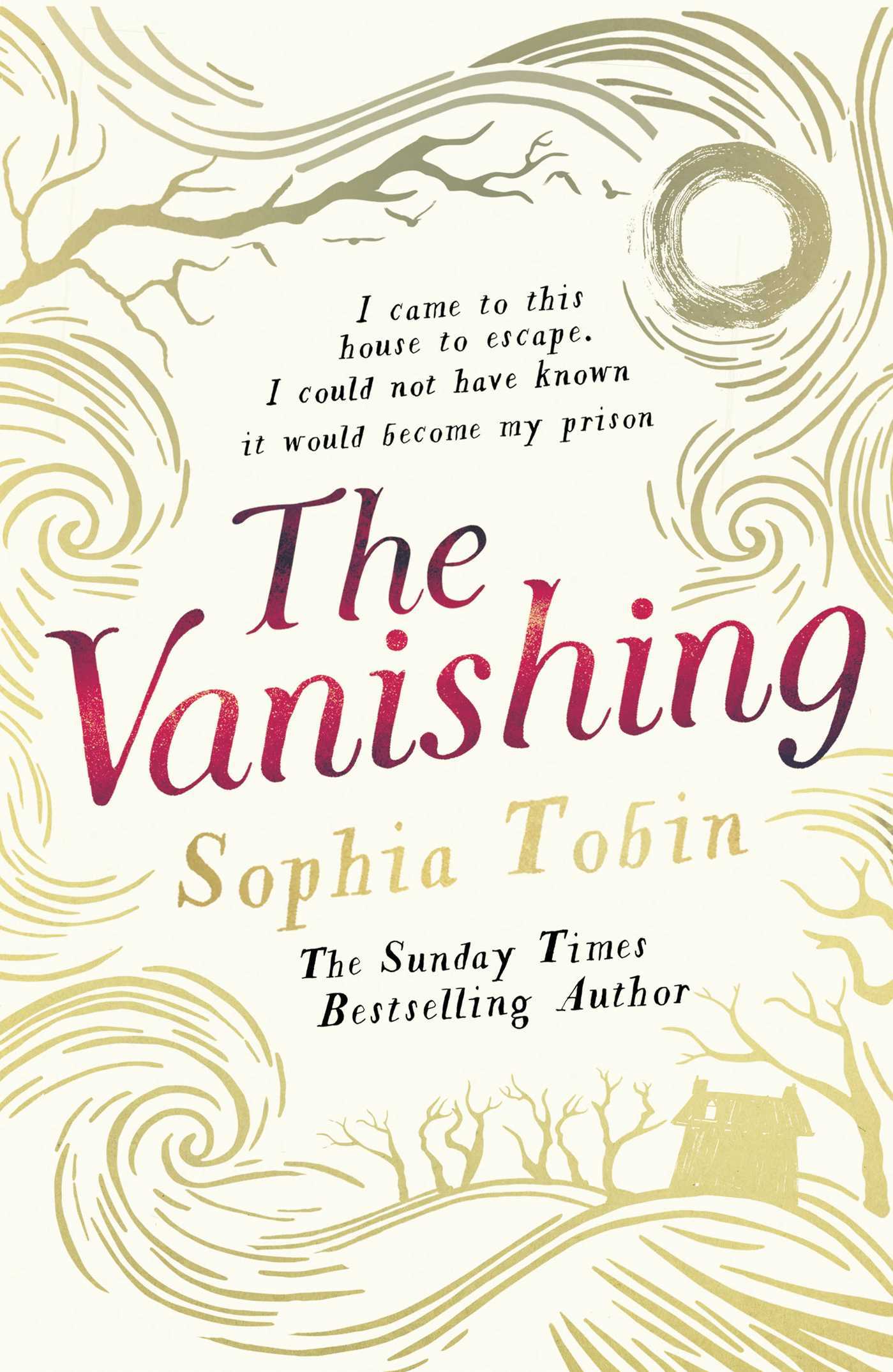The Vanishing book cover