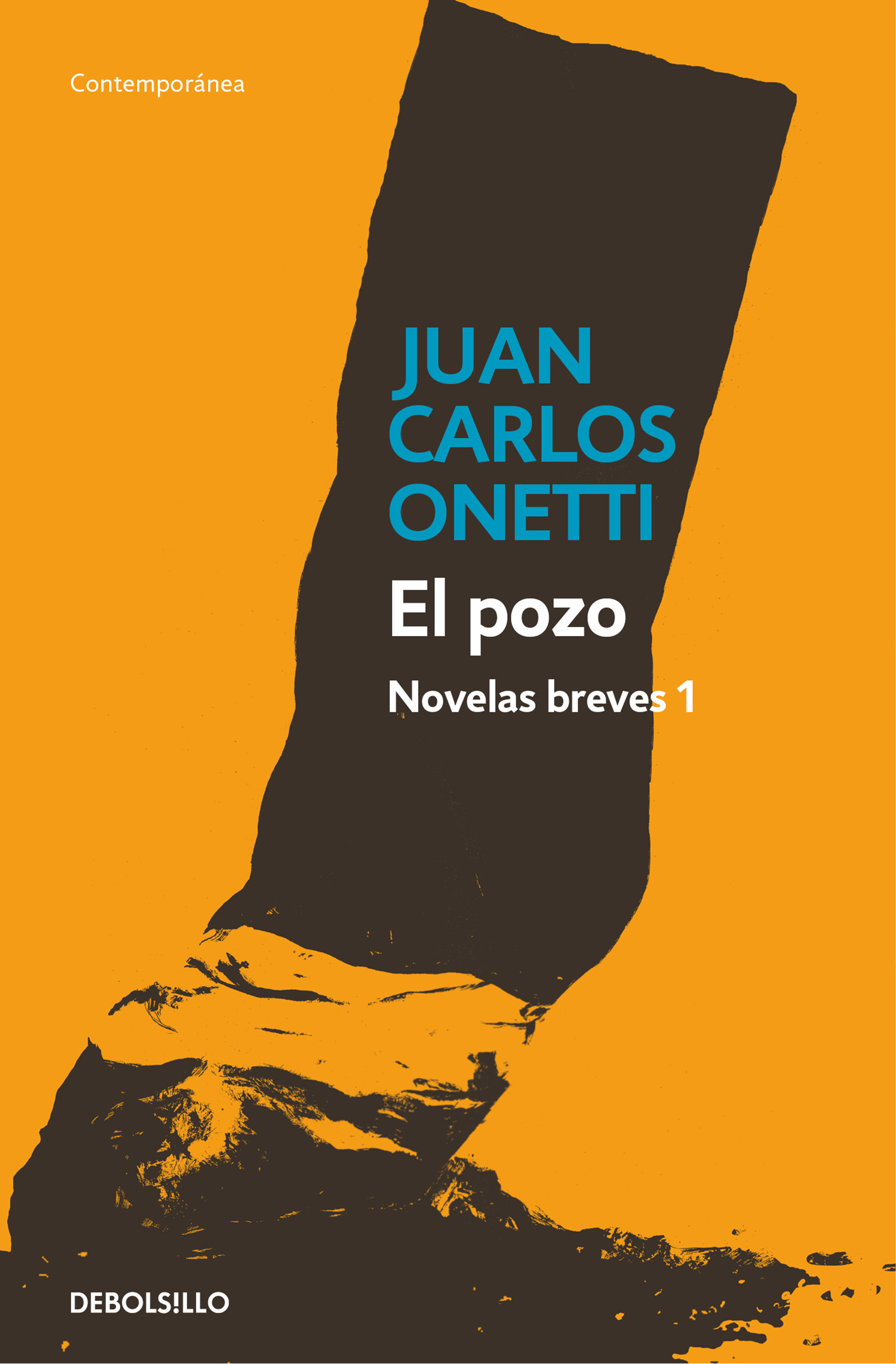 El pozo book cover