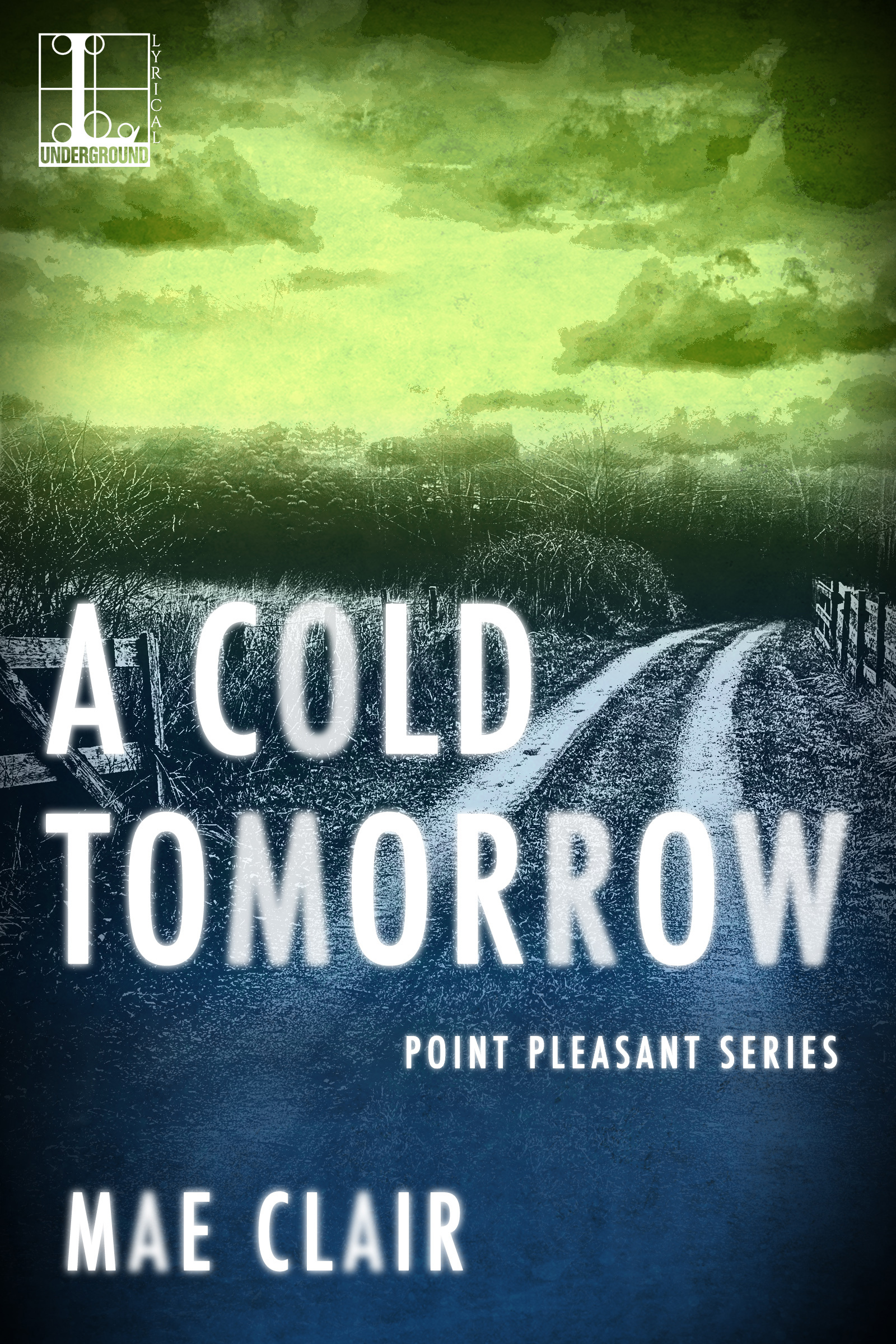 Point Pleasant book cover 2