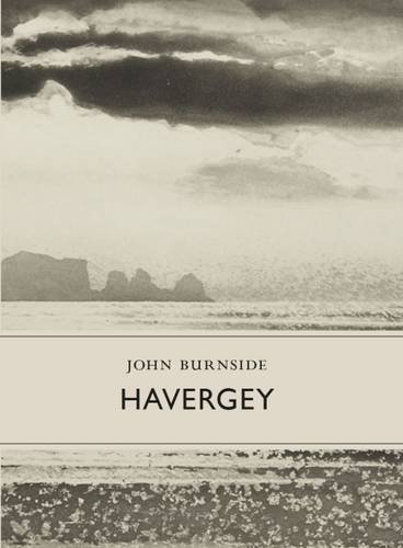 Havergey book cover